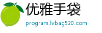 优雅手袋