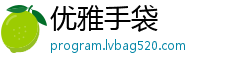 优雅手袋